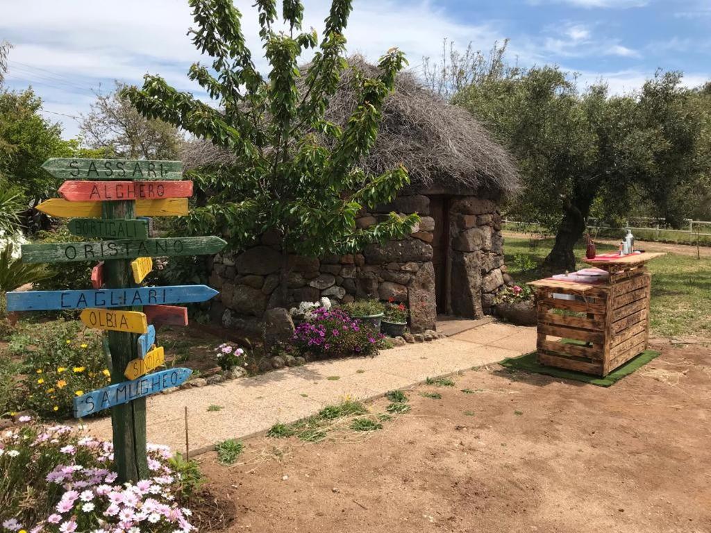 Azienda Agricola Affittacamere S'Ispinalba Di Laura Pitzolu Borore Zewnętrze zdjęcie